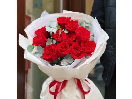 ♥️ Red Classic S