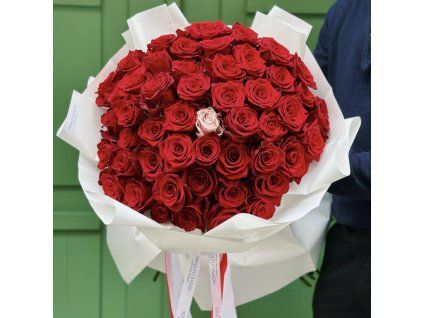 ♥️ Red Classic XXL