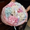 🩵 9 Beautiful Hydrangeas